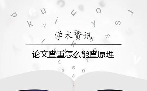 論文查重怎么能查原理