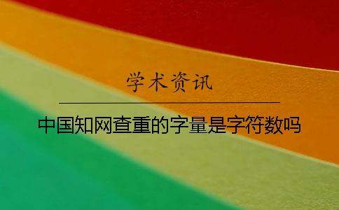 中國知網查重的字量是字符數嗎？