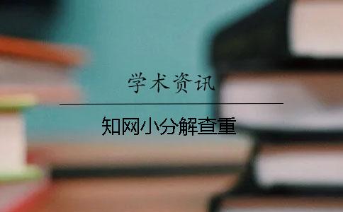 知網小分解查重