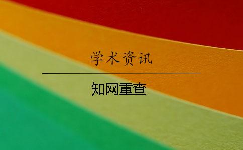 知網重查