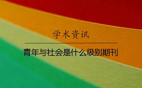 青年與社會是什么級別期刊