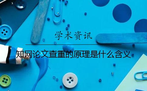 知網論文查重的原理是什么含義