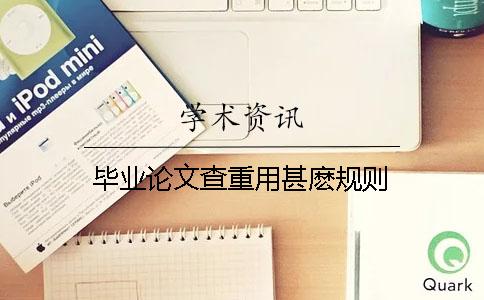 畢業論文查重用甚麼規則
