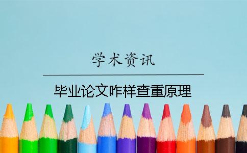 畢業論文咋樣查重原理
